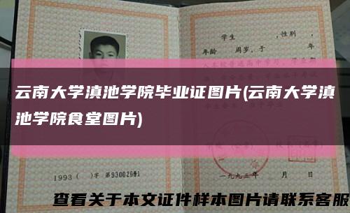 云南大学滇池学院毕业证图片(云南大学滇池学院食堂图片)缩略图
