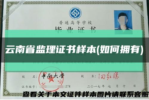 云南省监理证书样本(如何拥有)缩略图