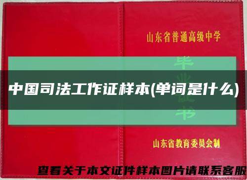 中国司法工作证样本(单词是什么)缩略图