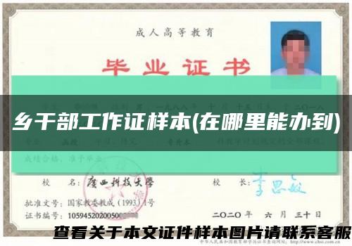 乡干部工作证样本(在哪里能办到)缩略图