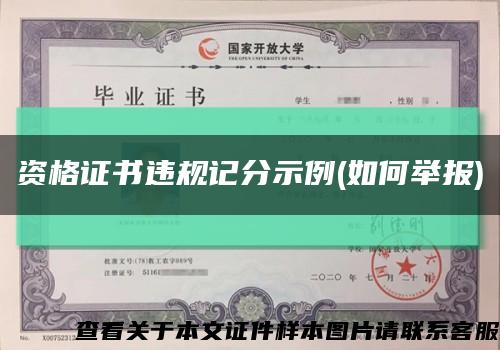 资格证书违规记分示例(如何举报)缩略图