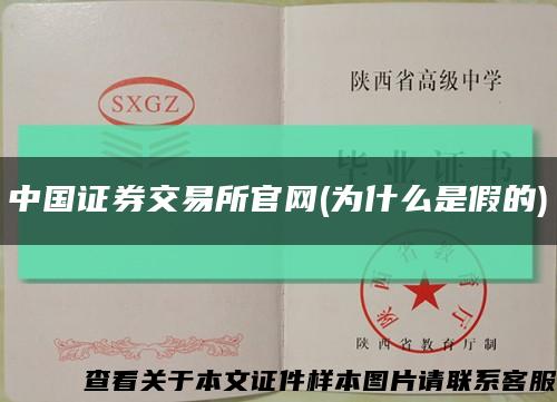 中国证券交易所官网(为什么是假的)缩略图