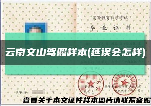 云南文山驾照样本(延误会怎样)缩略图