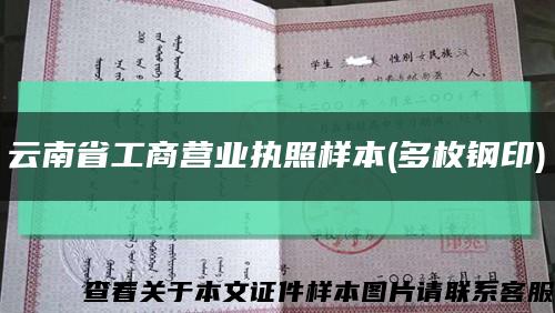 云南省工商营业执照样本(多枚钢印)缩略图