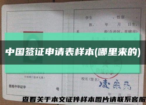 中国签证申请表样本(哪里来的)缩略图