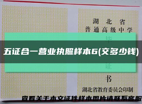 五证合一营业执照样本6(交多少钱)缩略图