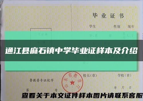 通江县麻石镇中学毕业证样本及介绍缩略图