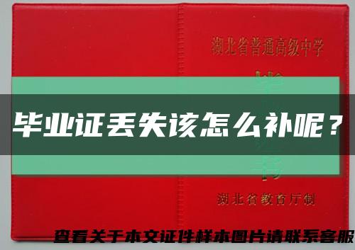 毕业证丢失该怎么补呢？缩略图