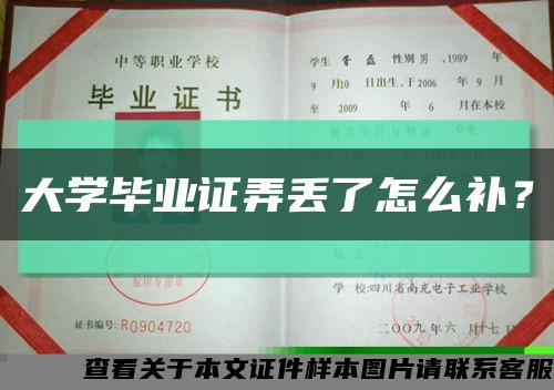 大学毕业证弄丢了怎么补？缩略图