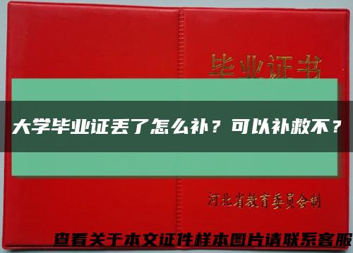大学毕业证丢了怎么补？可以补救不？缩略图