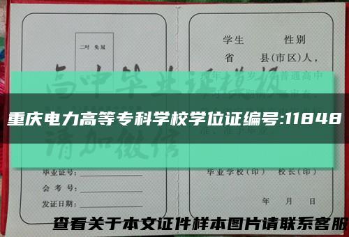 重庆电力高等专科学校学位证编号:11848缩略图
