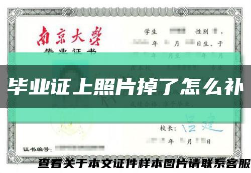 毕业证上照片掉了怎么补缩略图