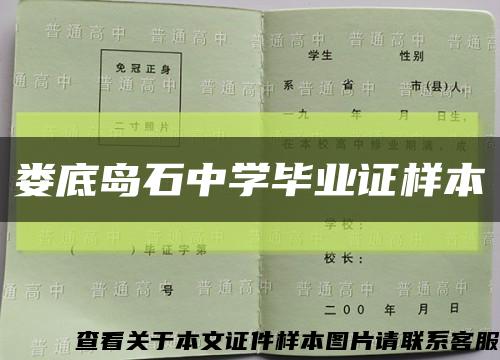 娄底岛石中学毕业证样本缩略图