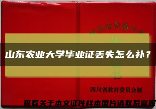 山东农业大学毕业证丢失怎么补？缩略图