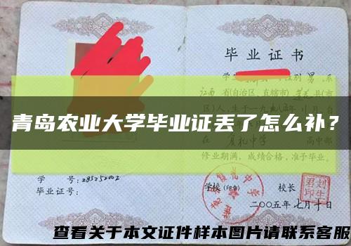 青岛农业大学毕业证丢了怎么补？缩略图