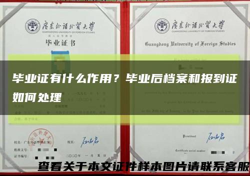 毕业证有什么作用？毕业后档案和报到证如何处理缩略图