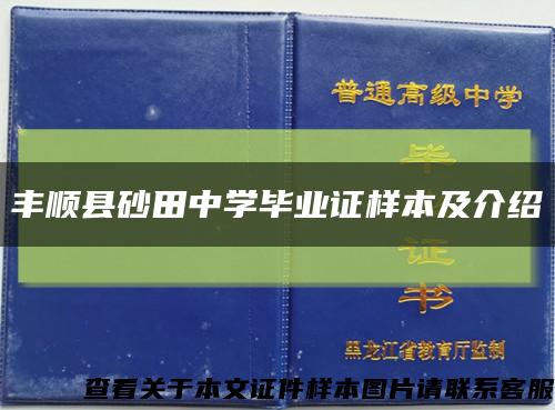 丰顺县砂田中学毕业证样本及介绍缩略图