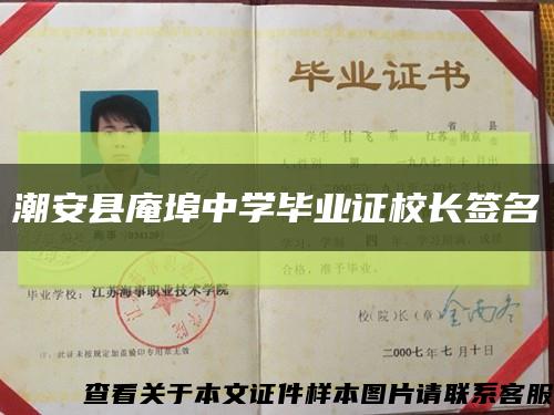 潮安县庵埠中学毕业证校长签名缩略图