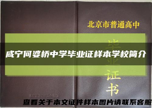 咸宁何婆桥中学毕业证样本学校简介缩略图