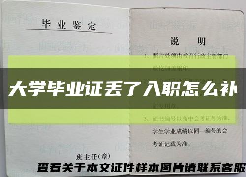 大学毕业证丢了入职怎么补缩略图