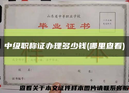 中级职称证办理多少钱(哪里查看)缩略图