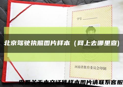 北京驾驶执照图片样本（网上去哪里查)缩略图