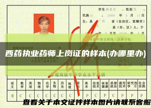 西药执业药师上岗证的样本(办哪里办)缩略图