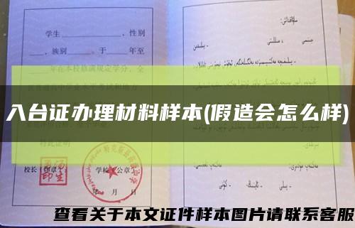 入台证办理材料样本(假造会怎么样)缩略图