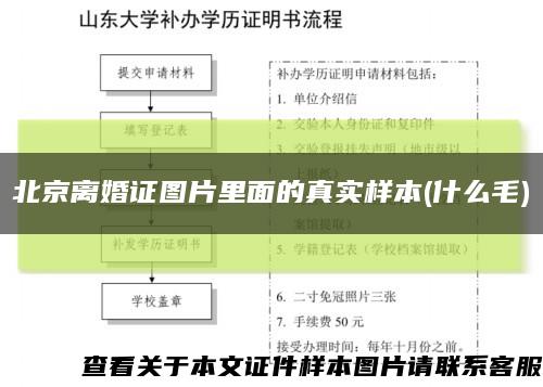北京离婚证图片里面的真实样本(什么毛)缩略图