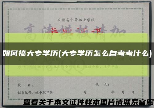 如何搞大专学历(大专学历怎么自考考什么)缩略图