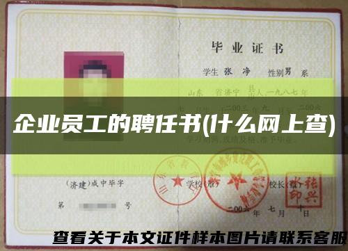 企业员工的聘任书(什么网上查)缩略图
