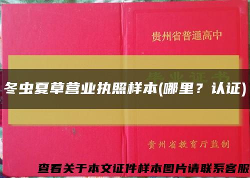 冬虫夏草营业执照样本(哪里？认证)缩略图