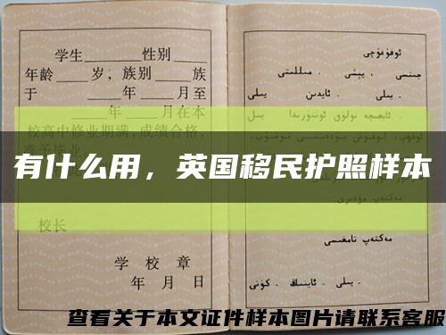 有什么用，英国移民护照样本缩略图