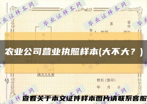 农业公司营业执照样本(大不大？)缩略图