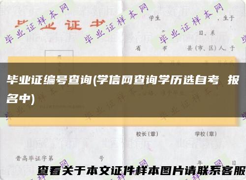 毕业证编号查询(学信网查询学历选自考 报名中)缩略图