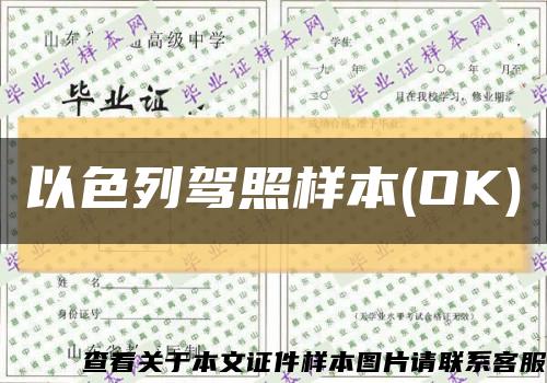 以色列驾照样本(OK)缩略图