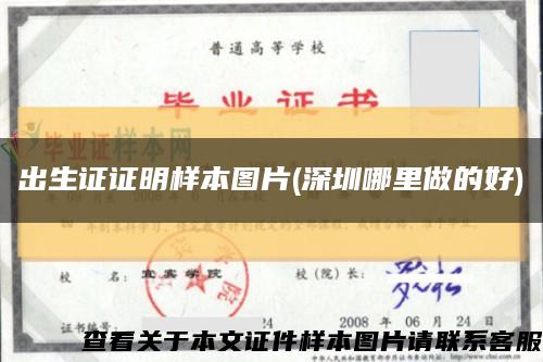 出生证证明样本图片(深圳哪里做的好)缩略图