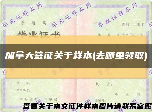 加拿大签证关于样本(去哪里领取)缩略图