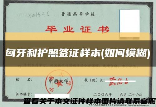 匈牙利护照签证样本(如何模糊)缩略图