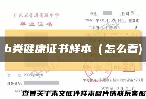 b类健康证书样本（怎么着)缩略图