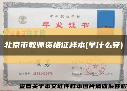 北京市教师资格证样本(拿什么穿)缩略图