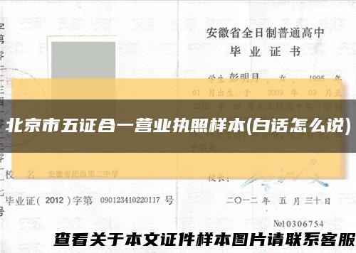 北京市五证合一营业执照样本(白话怎么说)缩略图