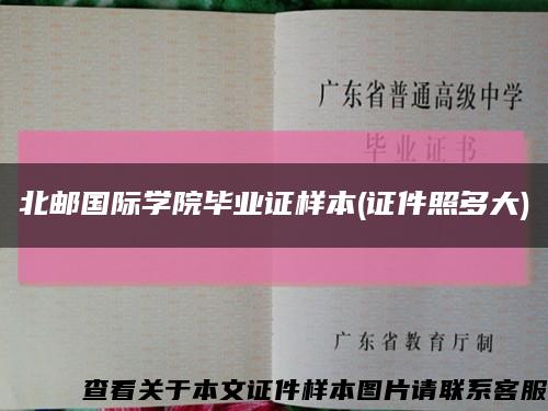 北邮国际学院毕业证样本(证件照多大)缩略图