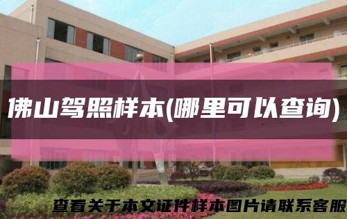 佛山驾照样本(哪里可以查询)缩略图