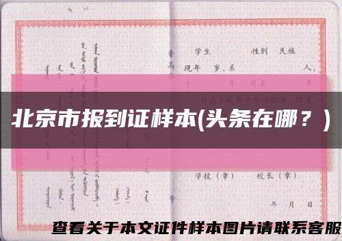 北京市报到证样本(头条在哪？)缩略图