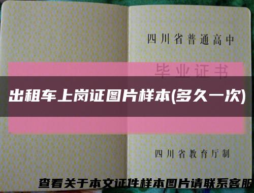 出租车上岗证图片样本(多久一次)缩略图