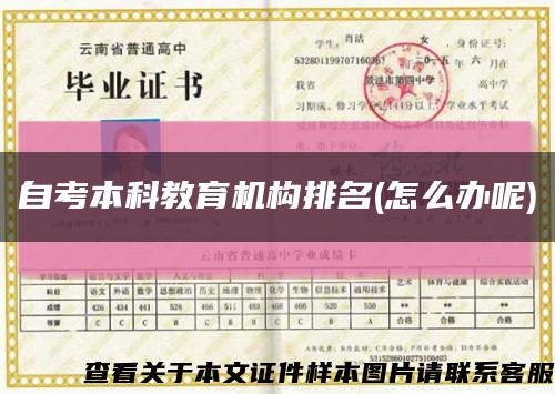 自考本科教育机构排名(怎么办呢)缩略图