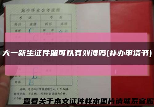 大一新生证件照可以有刘海吗(补办申请书)缩略图