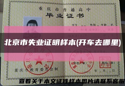 北京市失业证明样本(开车去哪里)缩略图