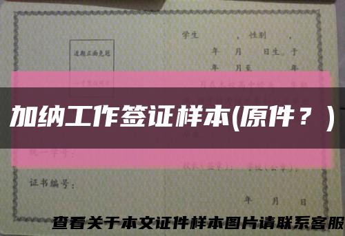 加纳工作签证样本(原件？)缩略图